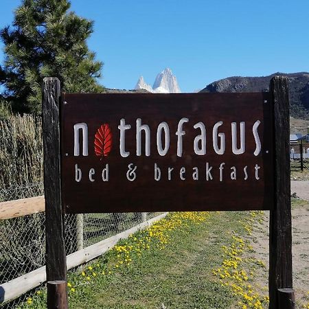 Nothofagus Bed & Breakfast El Chalten Exterior photo
